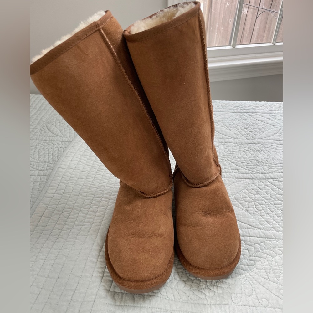 Emu stinger hi. 12inches. Color is Chestnut. Water resistant. Euc